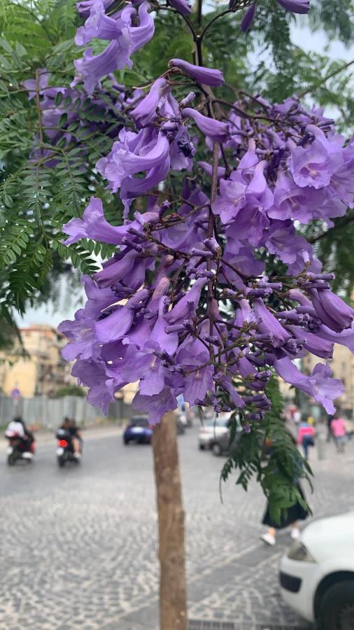 Mita Apartments Katanya Dış mekan fotoğraf